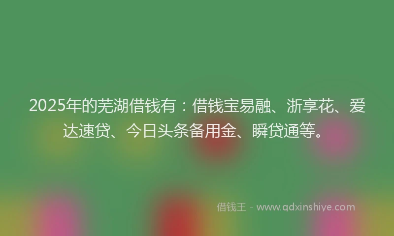 2025年的芜湖借钱有：借钱宝易融、浙享花、爱达速贷、今日头条备用金、瞬贷通等。