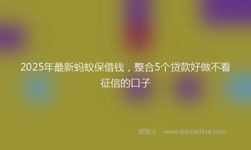 2025年最新蚂蚁保借钱，整合5个贷款好做不看征信的口子