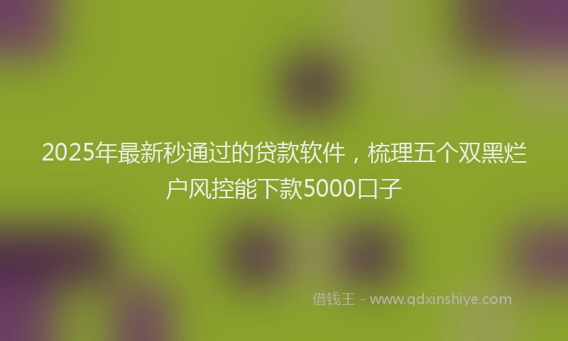 2025年最新秒通过的贷款软件，梳理五个双黑烂户风控能下款5000口子