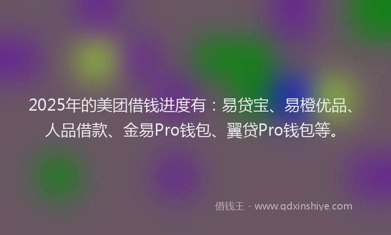 2025年的美团借钱进度有：易贷宝、易橙优品、人品借款、金易Pro钱包、翼贷Pro钱包等。
