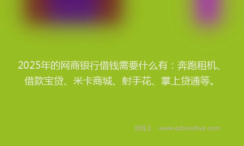 2025年的网商银行借钱需要什么有：奔跑租机、借款宝贷、米卡商城、射手花、掌上贷通等。