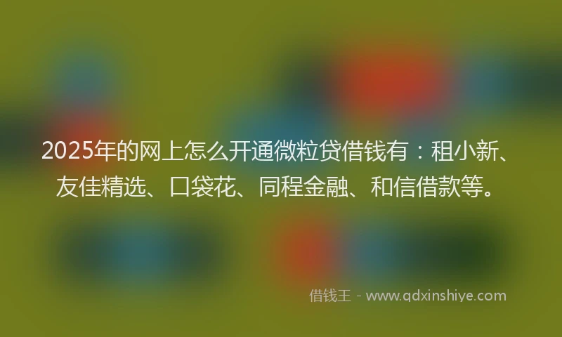 2025年的网上怎么开通微粒贷借钱有:租小新、友佳精选、口袋花、同程金融、和信借款等。