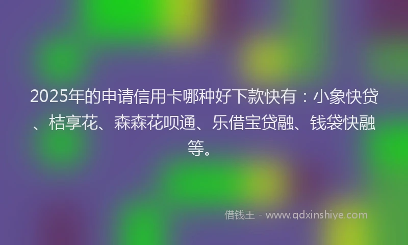 2025年的申请信用卡哪种好下款快有：小象快贷、桔享花、森森花呗通、乐借宝贷融、钱袋快融等。