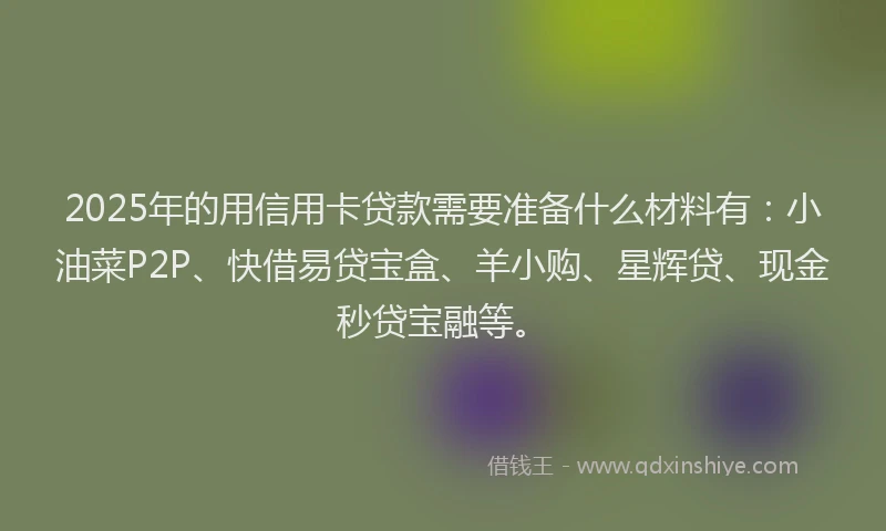 2025年的用信用卡贷款需要准备什么材料有：小油菜P2P、快借易贷宝盒、羊小购、星辉贷、现金秒贷宝融等。