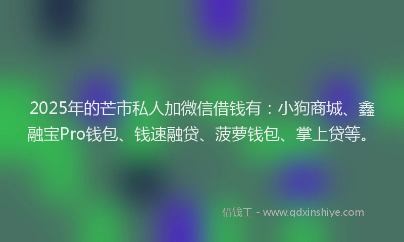 2025年的芒市私人加微信借钱有：小狗商城、鑫融宝Pro钱包、钱速融贷、菠萝钱包、掌上贷等。