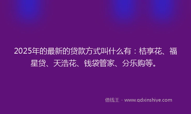 2025年的最新的贷款方式叫什么有：桔享花、福星贷、天浩花、钱袋管家、分乐购等。