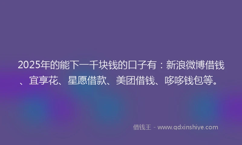 2025年的能下一千块钱的口子有：新浪微博借钱、宜享花、星愿借款、美团借钱、哆哆钱包等。