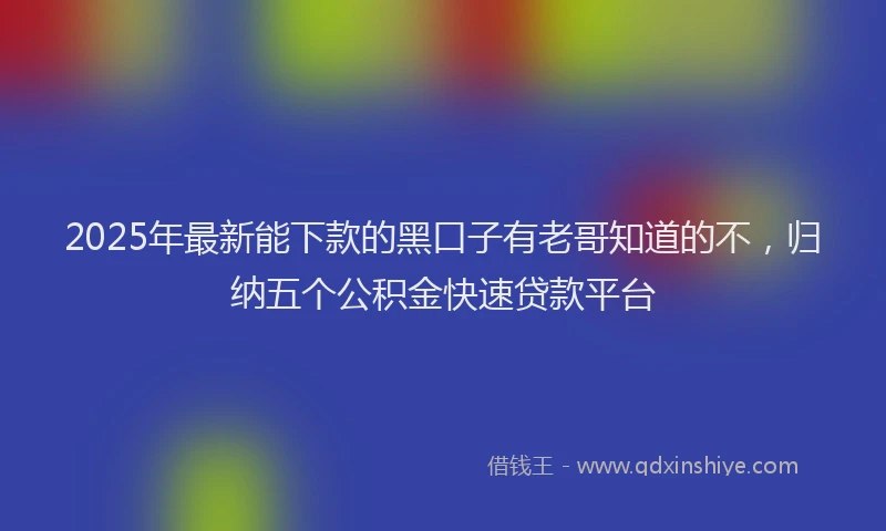 2025年最新能下款的黑口子有老哥知道的不，归纳五个公积金快速贷款平台