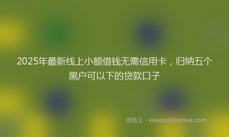 2025年最新线上小额借钱无需信用卡，归纳五个黑户可以下的贷款口子