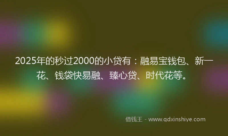 2025年的秒过2000的小贷有：融易宝钱包、新一花、钱袋快易融、臻心贷、时代花等。