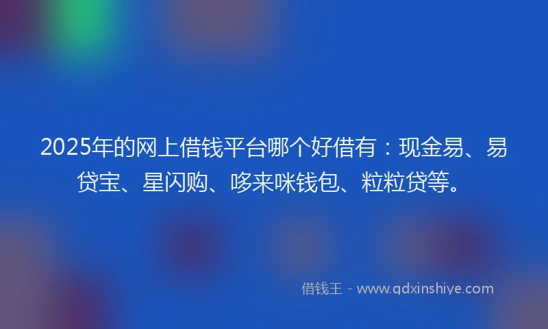 2025年的网上借钱平台哪个好借有：现金易、易贷宝、星闪购、哆来咪钱包、粒粒贷等。