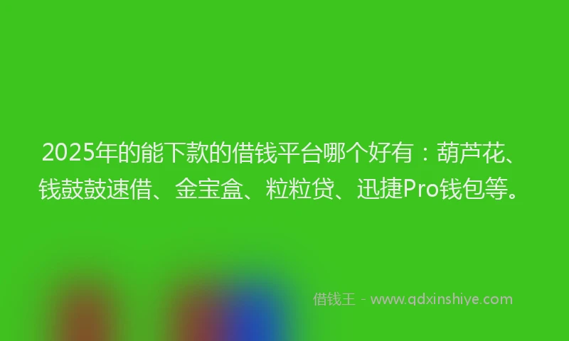 2025年的能下款的借钱平台哪个好有：葫芦花、钱鼓鼓速借、金宝盒、粒粒贷、迅捷Pro钱包等。
