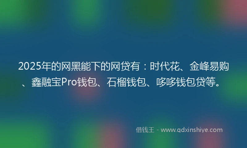 2025年的网黑能下的网贷有：时代花、金峰易购、鑫融宝Pro钱包、石榴钱包、哆哆钱包贷等。