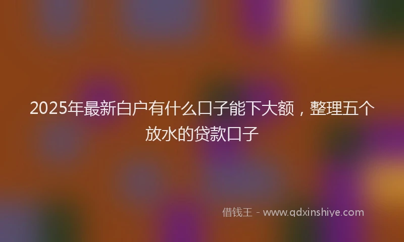 2025年最新白户有什么口子能下大额，整理五个放水的贷款口子