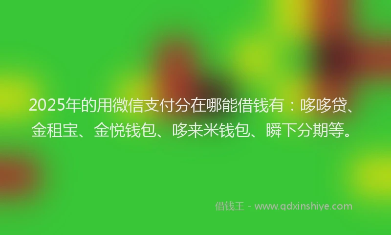 2025年的用微信支付分在哪能借钱有：哆哆贷、金租宝、金悦钱包、哆来米钱包、瞬下分期等。