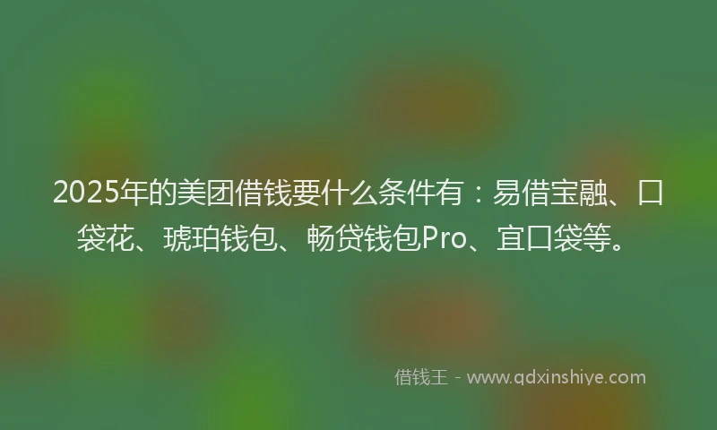 2025年的美团借钱要什么条件有：易借宝融、口袋花、琥珀钱包、畅贷钱包Pro、宜口袋等。
