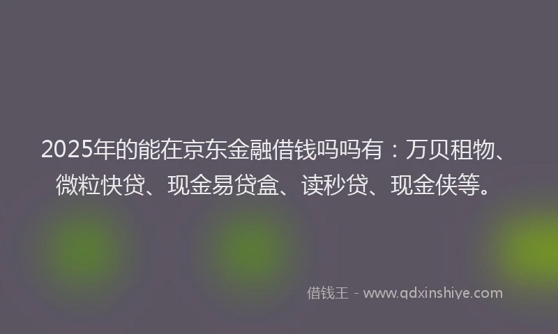 2025年的能在京东金融借钱吗吗有：万贝租物、微粒快贷、现金易贷盒、读秒贷、现金侠等。