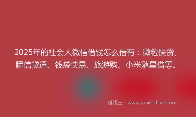 2025年的社会人微信借钱怎么借有：微粒快贷、瞬信贷通、钱袋快易、旅游购、小米随星借等。