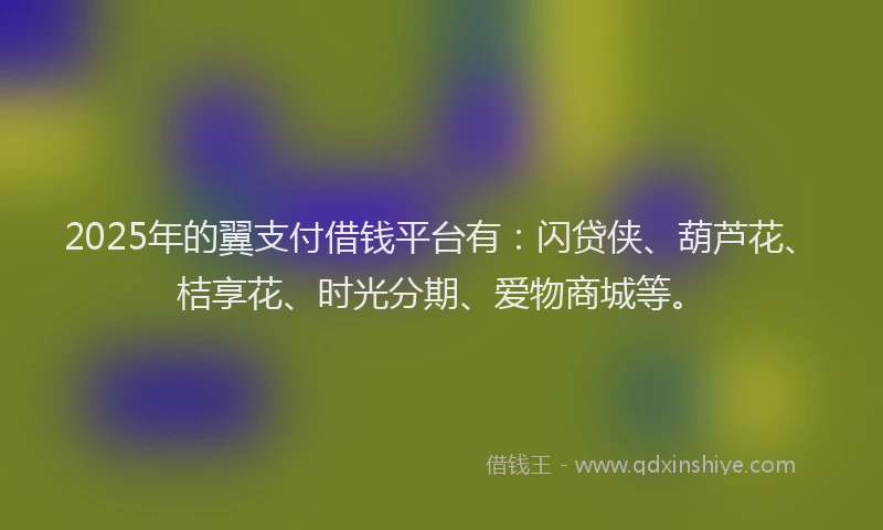 2025年的翼支付借钱平台有：闪贷侠、葫芦花、桔享花、时光分期、爱物商城等。
