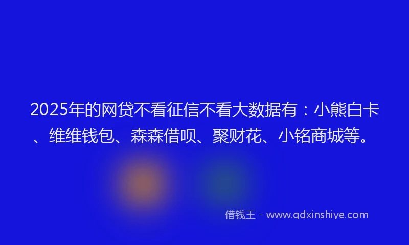 2025年的网贷不看征信不看大数据有：小熊白卡、维维钱包、森森借呗、聚财花、小铭商城等。