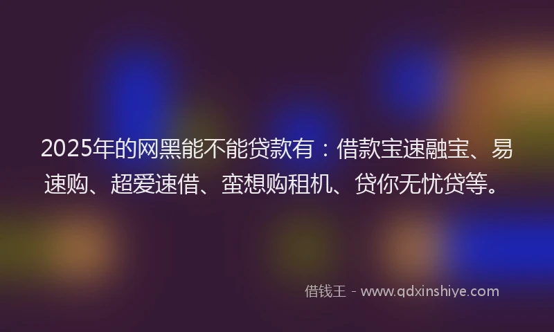 2025年的网黑能不能贷款有：借款宝速融宝、易速购、超爱速借、蛮想购租机、贷你无忧贷等。