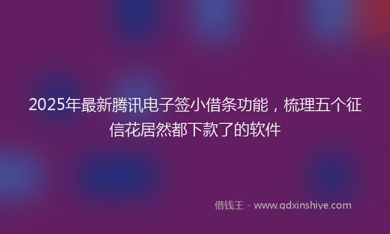 2025年最新腾讯电子签小借条功能，梳理五个征信花居然都下款了的软件
