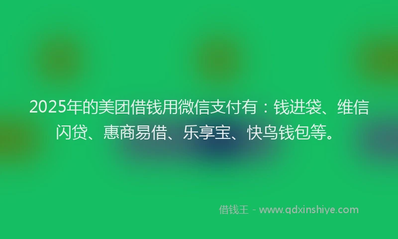2025年的美团借钱用微信支付有：钱进袋、维信闪贷、惠商易借、乐享宝、快鸟钱包等。