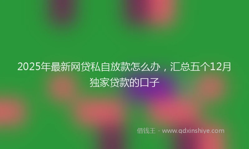 2025年最新网贷私自放款怎么办，汇总五个12月独家贷款的口子
