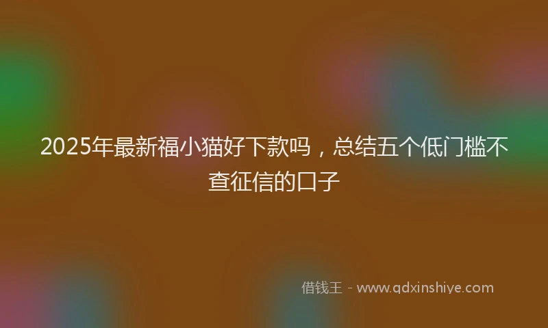 2025年最新福小猫好下款吗，总结五个低门槛不查征信的口子