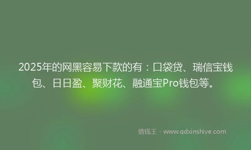 2025年的网黑容易下款的有：口袋贷、瑞信宝钱包、日日盈、聚财花、融通宝Pro钱包等。