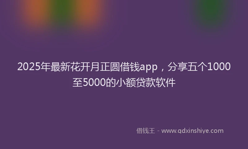 2025年最新花开月正圆借钱app，分享五个1000至5000的小额贷款软件