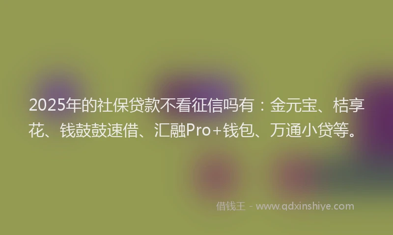 2025年的社保贷款不看征信吗有：金元宝、桔享花、钱鼓鼓速借、汇融Pro+钱包、万通小贷等。