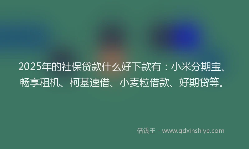 2025年的社保贷款什么好下款有：小米分期宝、畅享租机、柯基速借、小麦粒借款、好期贷等。