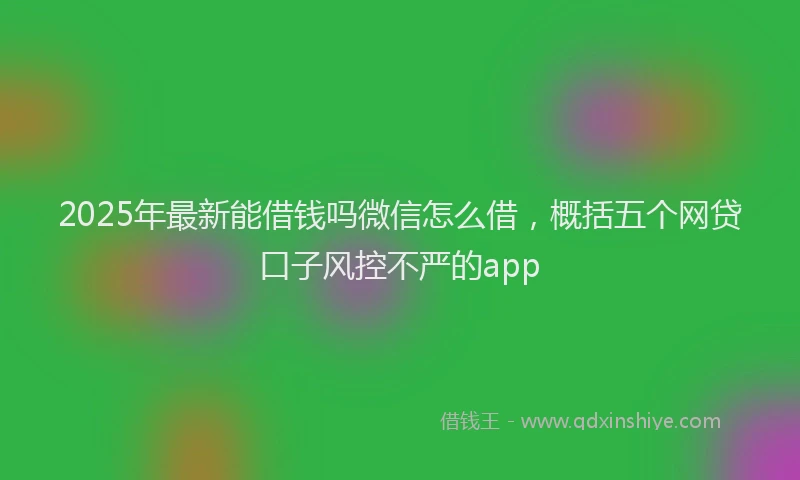 2025年最新能借钱吗微信怎么借，概括五个网贷口子风控不严的app