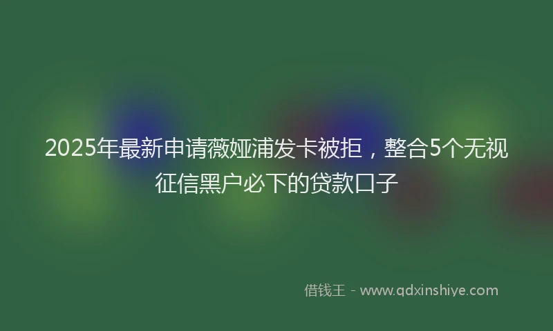 2025年最新申请薇娅浦发卡被拒，整合5个无视征信黑户必下的贷款口子