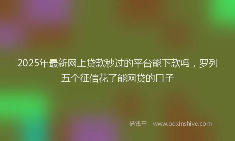 2025年最新网上贷款秒过的平台能下款吗，罗列五个征信花了能网贷的口子