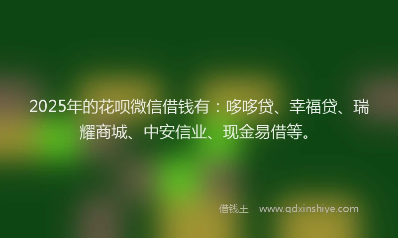 2025年的花呗微信借钱有：哆哆贷、幸福贷、瑞耀商城、中安信业、现金易借等。