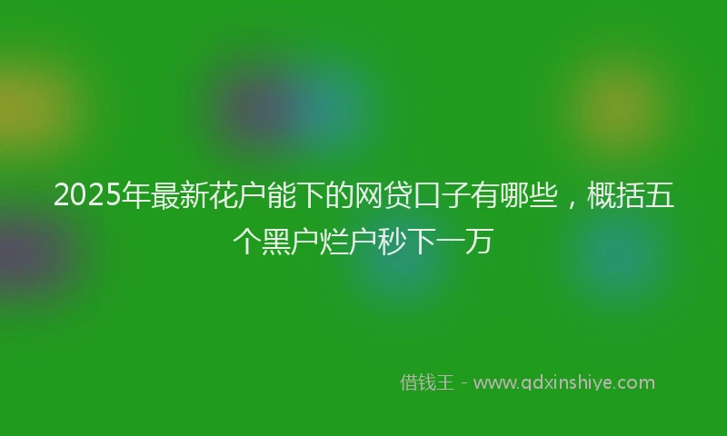 2025年最新花户能下的网贷口子有哪些，概括五个黑户烂户秒下一万