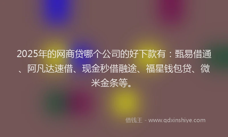 2025年的网商贷哪个公司的好下款有：甄易借通、阿凡达速借、现金秒借融途、福星钱包贷、微米金条等。