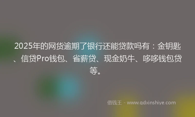 2025年的网货逾期了银行还能贷款吗有：金钥匙、信贷Pro钱包、省薪贷、现金奶牛、哆哆钱包贷等。
