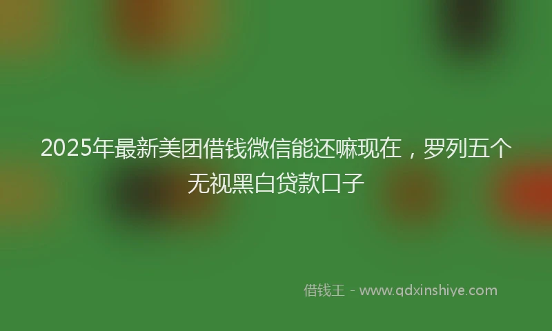 2025年最新美团借钱微信能还嘛现在，罗列五个无视黑白贷款口子