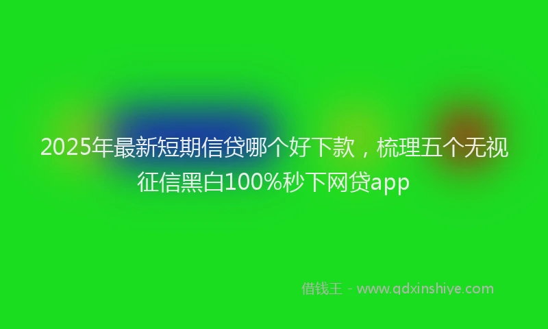 2025年最新短期信贷哪个好下款，梳理五个无视征信黑白100%秒下网贷app