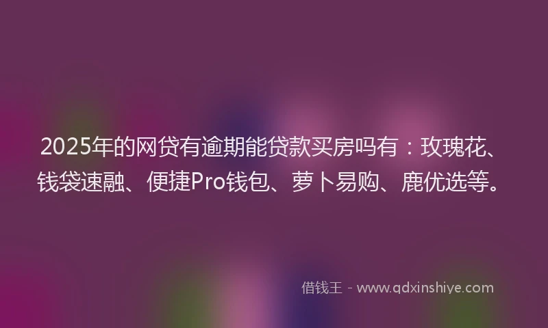 2025年的网贷有逾期能贷款买房吗有：玫瑰花、钱袋速融、便捷Pro钱包、萝卜易购、鹿优选等。