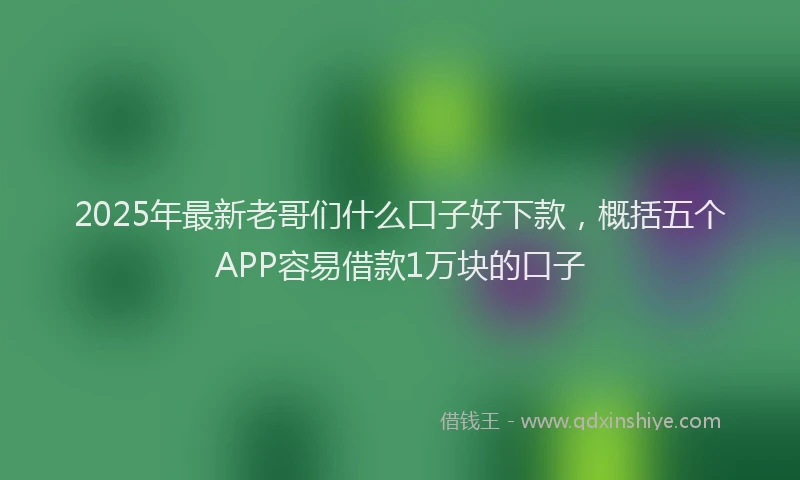 2025年最新老哥们什么口子好下款，概括五个APP容易借款1万块的口子