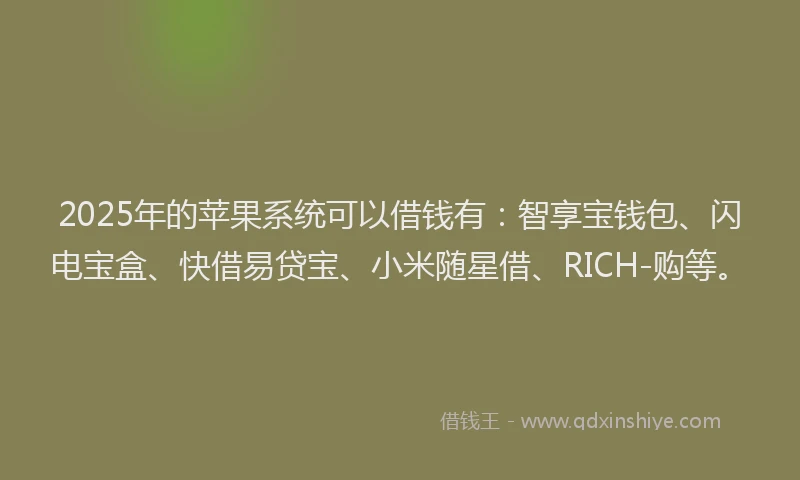 2025年的苹果系统可以借钱有：智享宝钱包、闪电宝盒、快借易贷宝、小米随星借、RICH-购等。