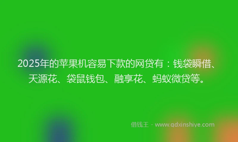 2025年的苹果机容易下款的网贷有：钱袋瞬借、天源花、袋鼠钱包、融享花、蚂蚁微贷等。