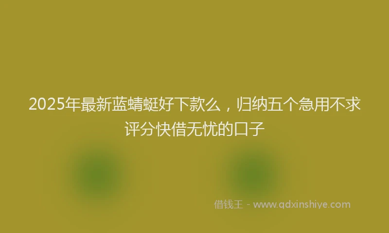 2025年最新蓝蜻蜓好下款么，归纳五个急用不求评分快借无忧的口子