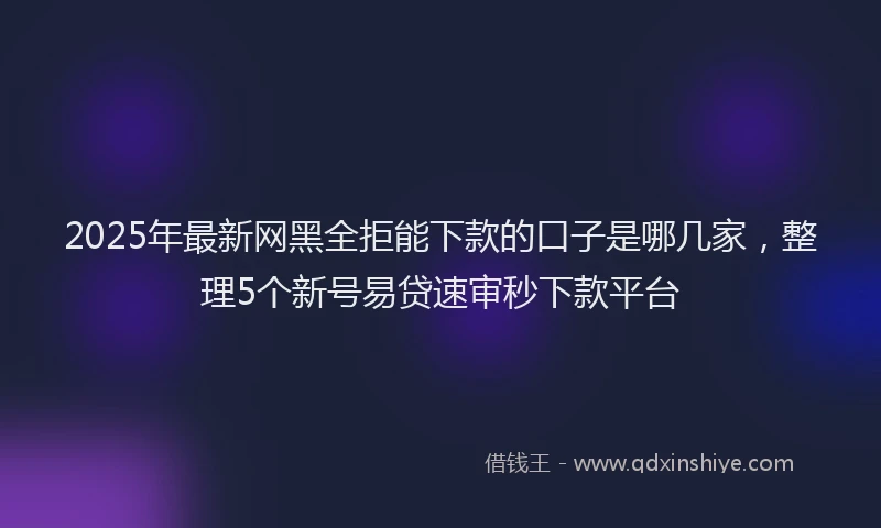 2025年最新网黑全拒能下款的口子是哪几家，整理5个新号易贷速审秒下款平台
