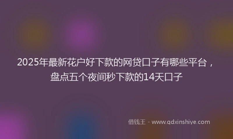 2025年最新花户好下款的网贷口子有哪些平台，盘点五个夜间秒下款的14天口子