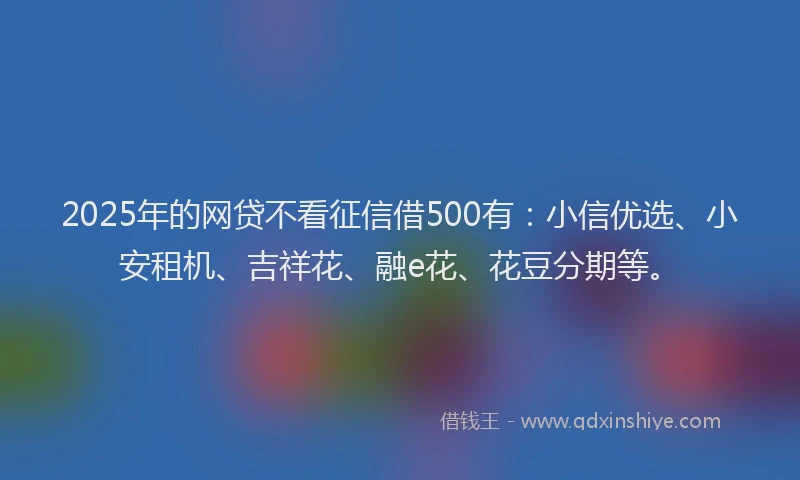 2025年的网贷不看征信借500有：小信优选、小安租机、吉祥花、融e花、花豆分期等。